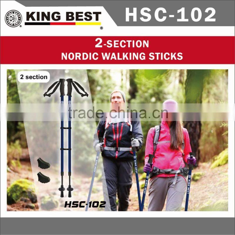 KING BEST Popular 2-SECTION nordic walking stick carbon trekking pole walking nordic walking stick