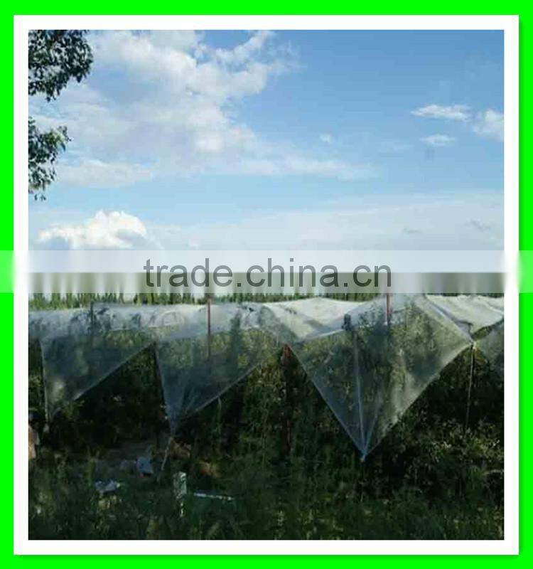 High quality white plastic virgin anti hail mesh for protection apple against hail