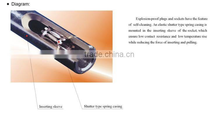 Hot Sale IECEx&ATEX Certified 63A Explosion Proof Plastic Sockets and Plugs