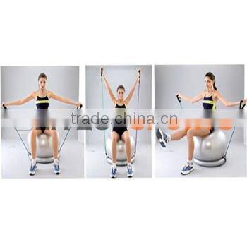 gym ball with base and expander