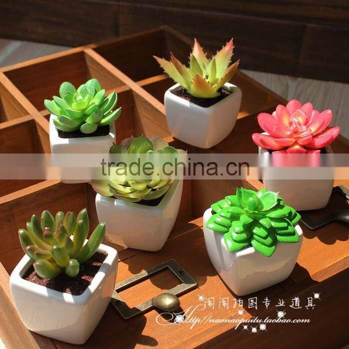 Home Decoration Use NEW Mini Novel Ceramic Porcelain Bonsai Grass Doll Hair Plant Head Planter Gift