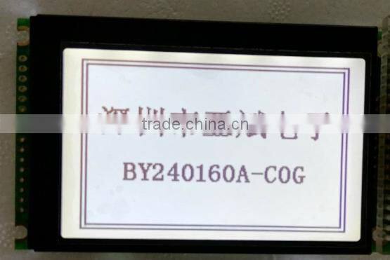 160X160 Cog Graphic LCD Module
