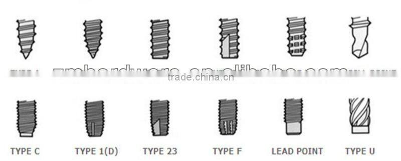 Square robertson head wood screws