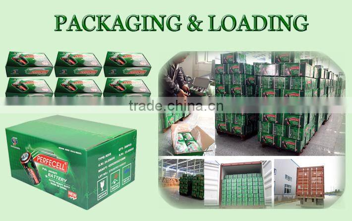 2016 Size D R20 Zinc Carbon Battery