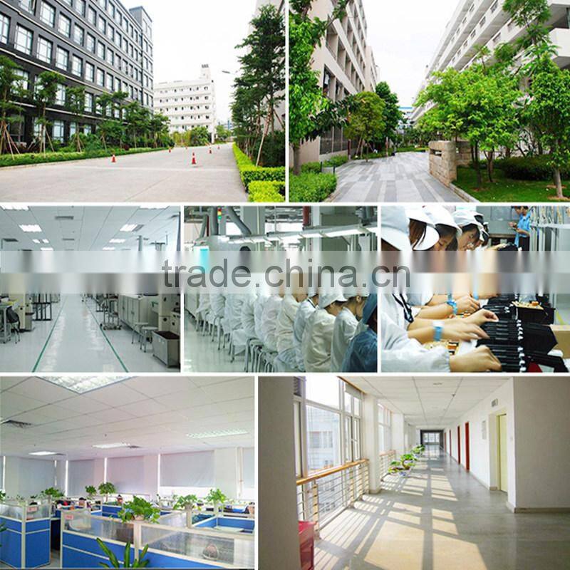 TB12100F-M110A LiFePO4 battery 12V 100Ah electric sweeper/cleaner battery with 100A BMS