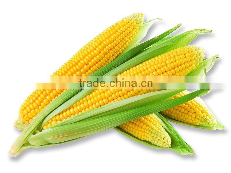 Small Package Inside No added Sucrose Cereal/Oats