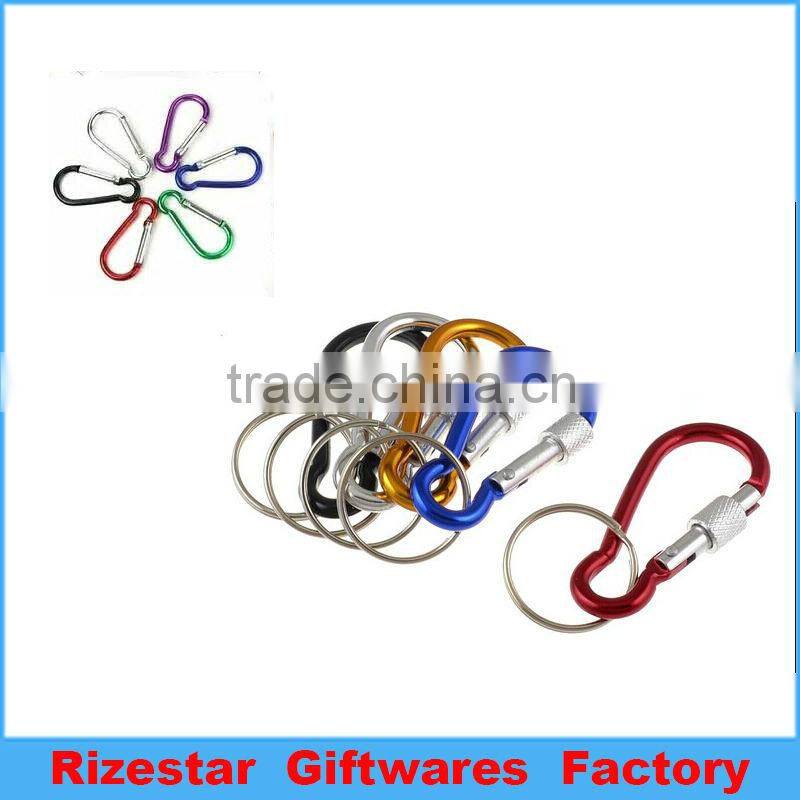 various carabiner keychain for convenience