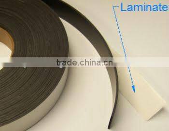 EAS EM library magnetic strip for book