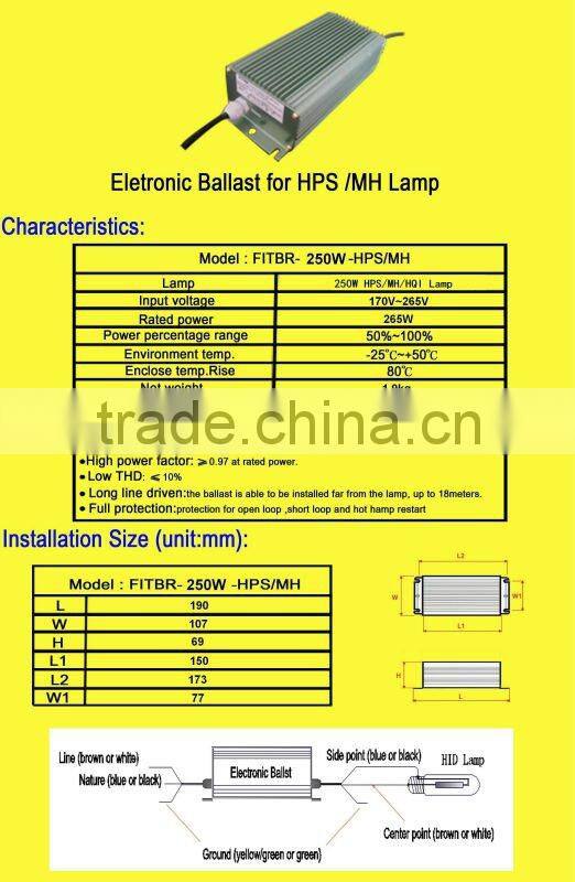 250W EU electrical ballast