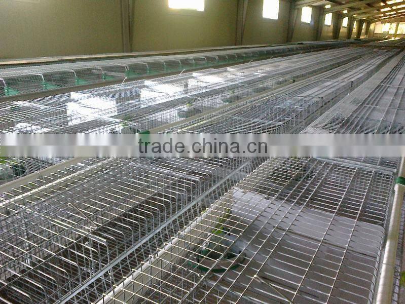 breeding rabbit cage
