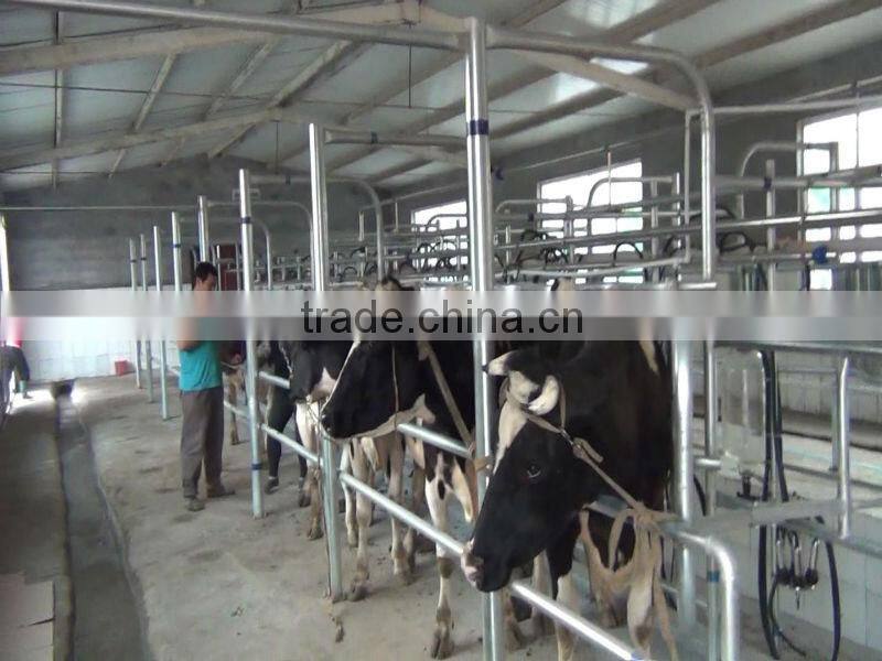 automatic milking machine system of fish-bone type