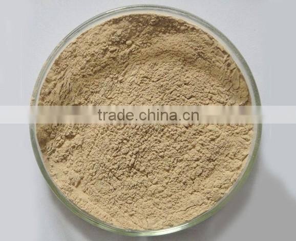 GMP manufacturer supply natural green coffee bean extract powder for losing weight