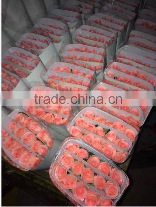 factory supply long stem fresh cut rose fresh cut flower