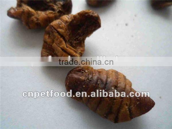 packets food lizard dried silkworm chow