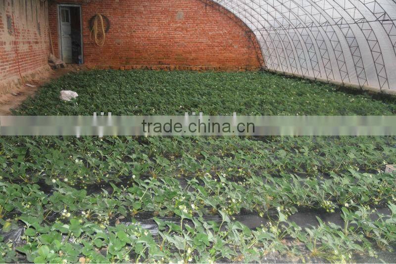 Best quality and price bio organic fertilizer