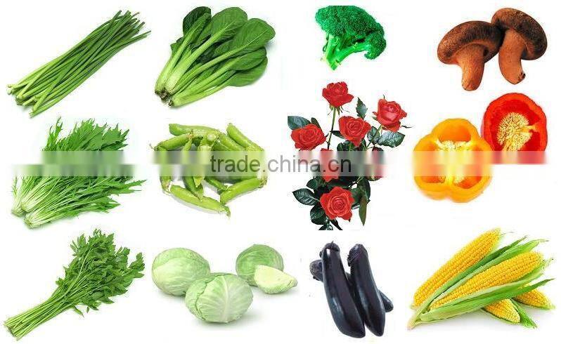 customized apple washing process line for manufacturing