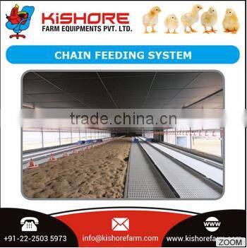 Very Strong and Imported Chain Feeding System for Sale