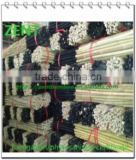 ZENT-14 plastic coated bamboo pole