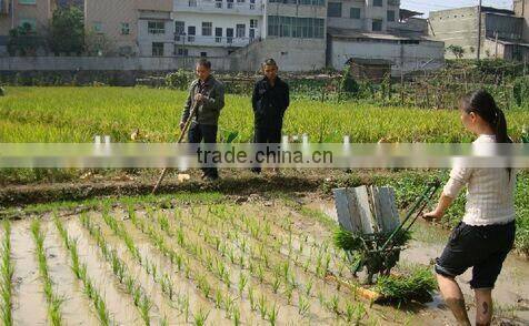 2 row rice planter