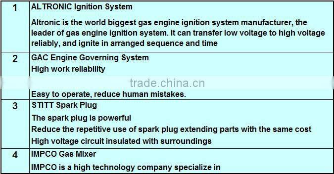 Superior quality silent elecric 40KVA lpg generator with ISO 9001