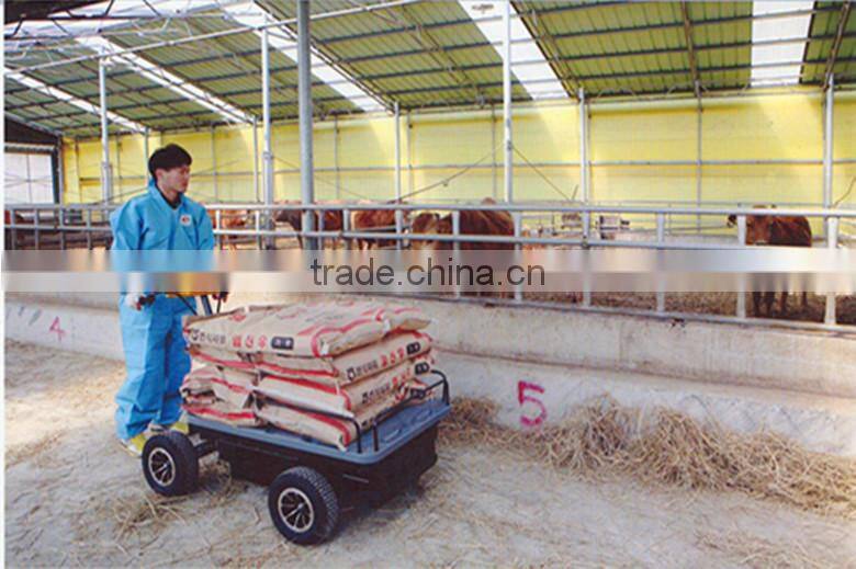 SUNEV ELECTRIC CARRIER