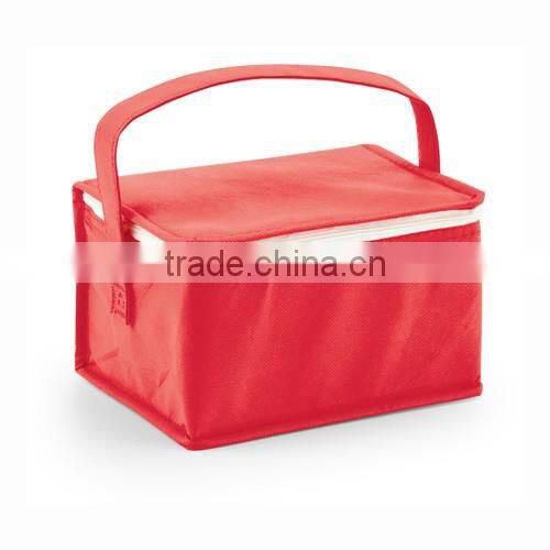 6 cans non-woven foldable cooler bag with handle for promtional