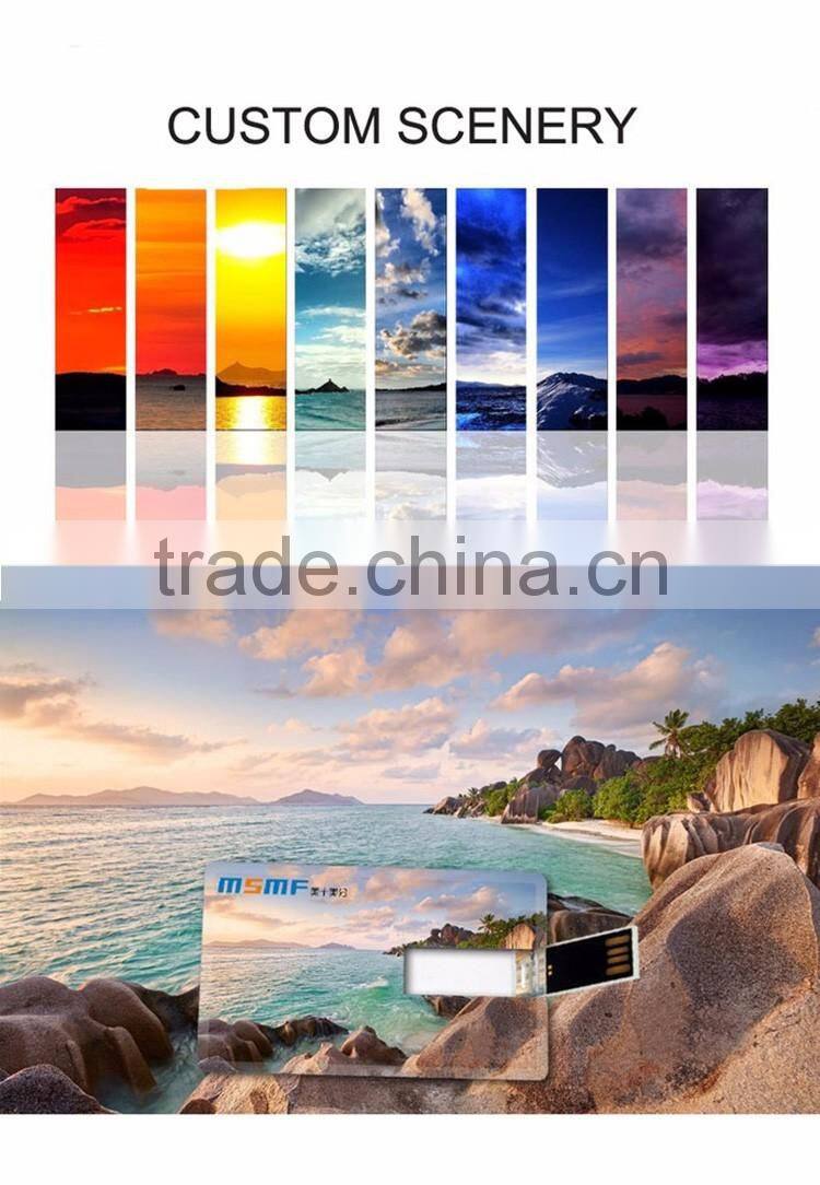 Free Sample Wallet design USB Card, Business Card USB Flash Drive, 16GB Name Card USB Flash Disk