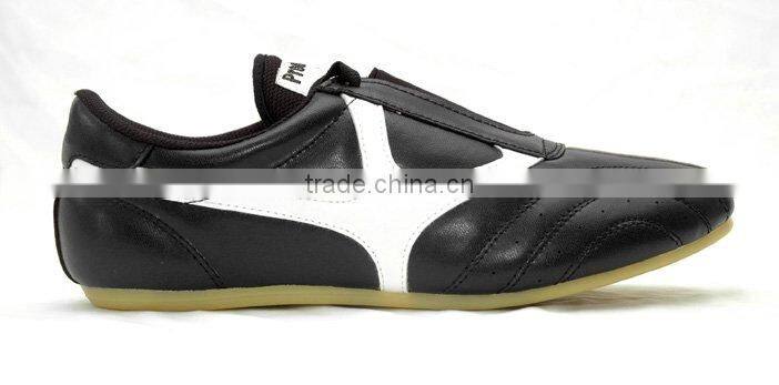 kungfu Shoes