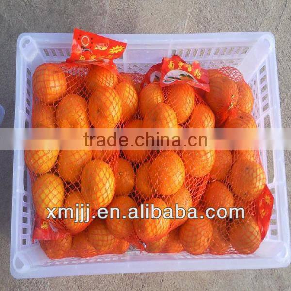summer navel orange