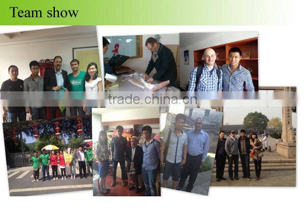 OEM flower printed flannel blanket quilted travel blanket