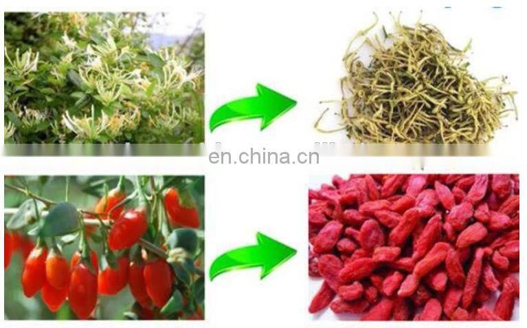 China hot sale egg yam catfish drying machine with tray