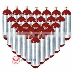 best quality 2kg portable mini ABC/CO2 fire extinguisher tank