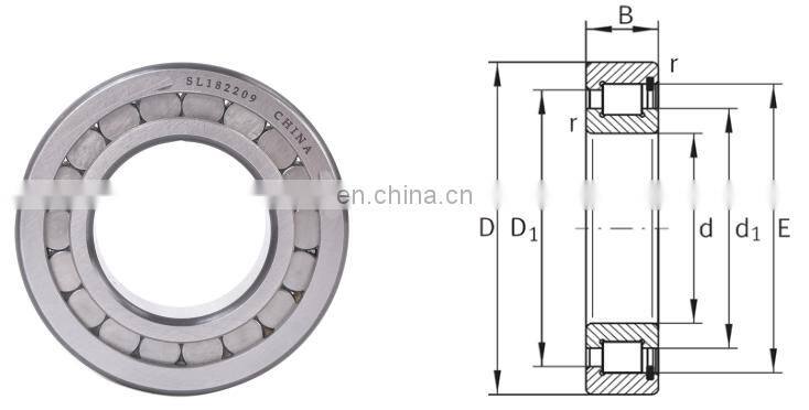 Full Complement Cylindrical Roller Bearing SL19 2209 SL192209