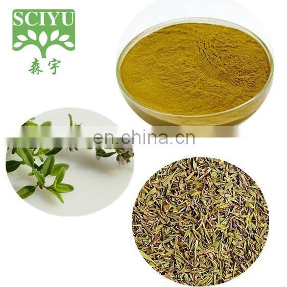 High quality thyme leaf extract powder Thymus Vulgaris Extract 10:1