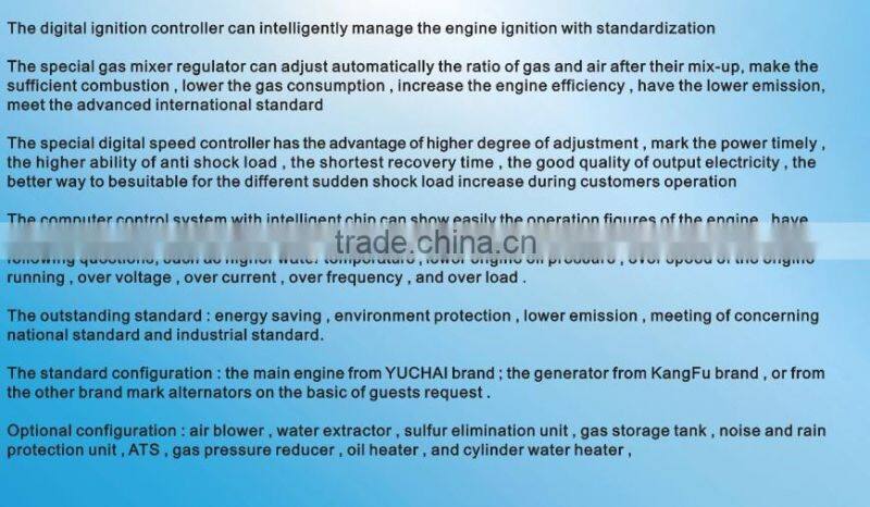 300KW Natural gas set