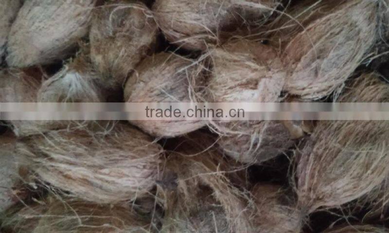 coconuts for sale