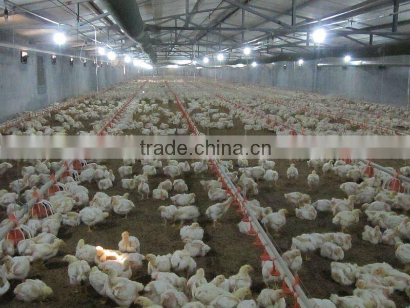 Poultry farm feed machinery