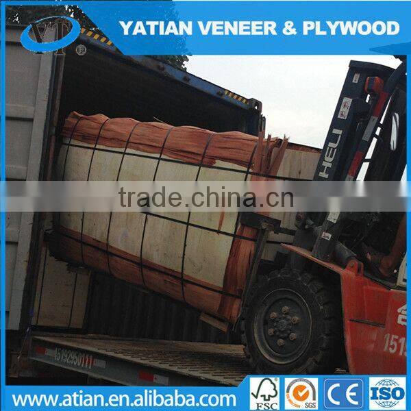 Decorative AB grade poplar wood face veneer to Egypt market 0.3mm factory