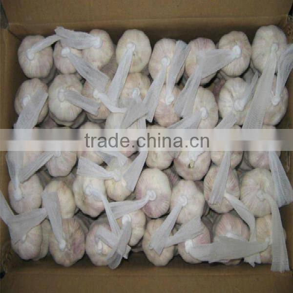 hot sale 2015 normal white garlic
