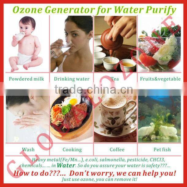 Industrial Fish Farming Ozone Generator for Aquaculture