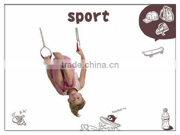 Metal Gymrings with Rope