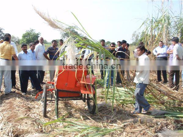 Farm small machinery leaf cutter mini sugarcane leaf remove 6BZ-5 new sugarcane leaf removing machine