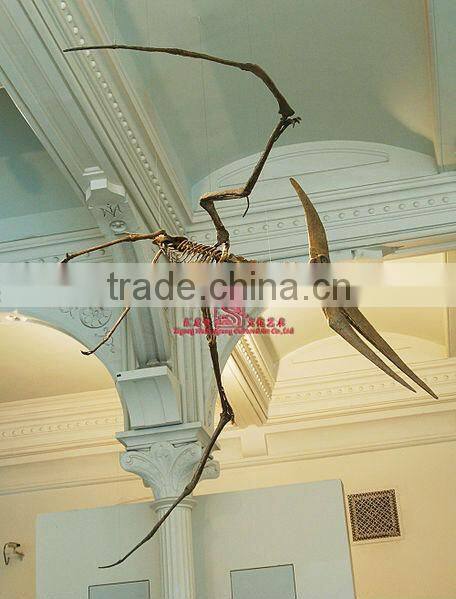 Museum quality Dinosaur Skeleton Replicas Fossil