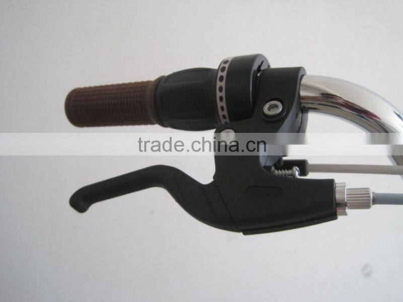 20 Steel 6 Speed Folding Bicycle with Front Basket