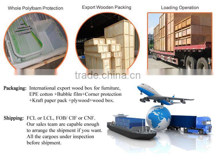 New design watch window display,acrylic watch showcase