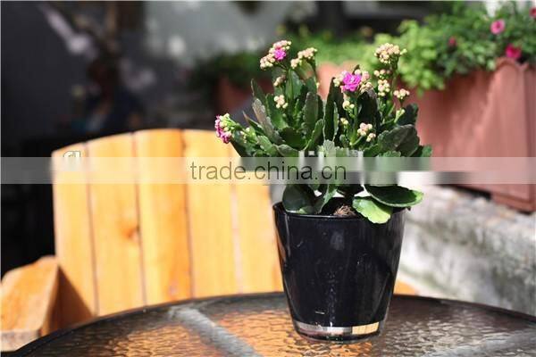 patented product flowersea Viola flower pot wholesale plant pot for sale