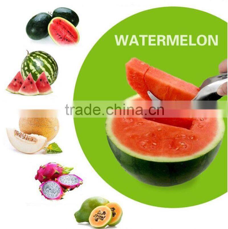 Stainless Steel Fruit Knife /Essential Home Kitchen Watermelon Slicer/Watermelon Knife