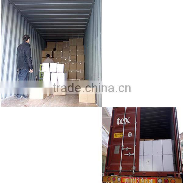 2016 polyresin garden dog solar light