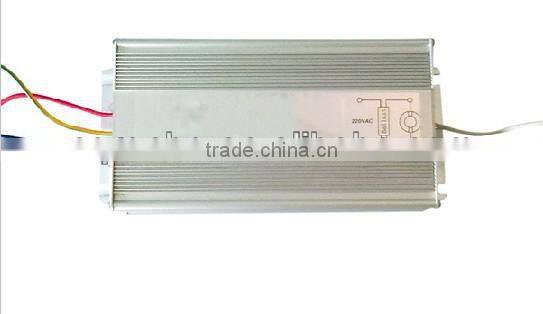 Low Frequency Electronic Discharge Lamp Electrodeless Indution Lamp