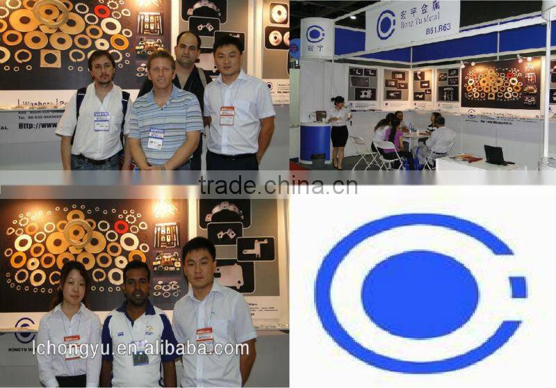 high quality external teeth serrated lock washer DIN6798A on sale